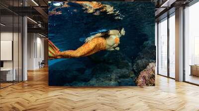 Mermaid swimming underwater in the deep blue sea with a seal Wall mural