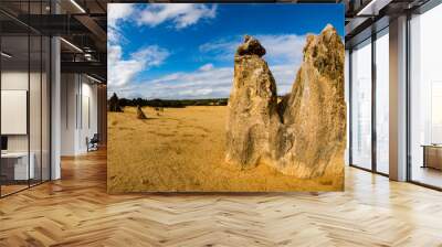 pinnacles park in west australia Wall mural