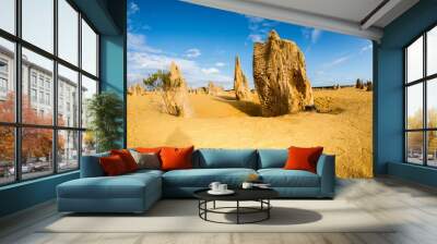 pinnacles park in west australia Wall mural