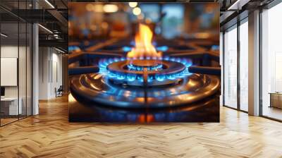 Closeup of a stove with burning flame.  Wall mural