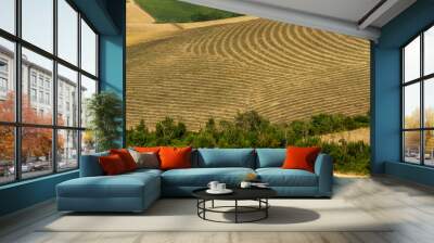 Geometries in a plowed wheat field in the Tuscan countryside Wall mural