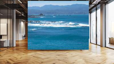 waves and beach Wall mural