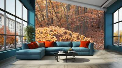 Woods in autumn Wall mural