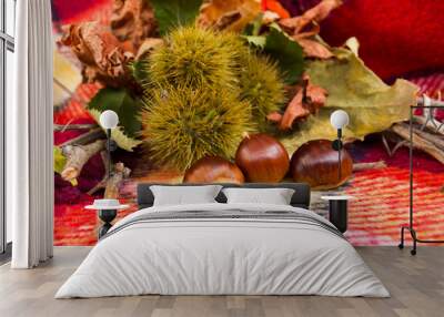 Chestnuts with their shell and autumn foliage on plaid Wall mural