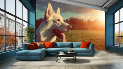 gorgeous large white dog in a park, colorised image Wall mural