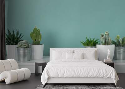 modern room decoration. collection of various potted cactus and succulent plants on white shelf agai Wall mural