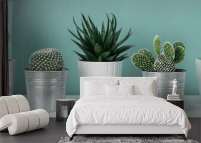 Modern room decoration. Collection of various potted cactus house plants on white shelf against pastel turquoise colored wall. Cactus plants banner. Wall mural