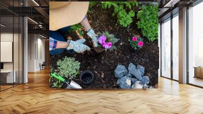 Unrecognizable female gardener planting flowers in her garden. Gardening concept. Overhead view. Wall mural