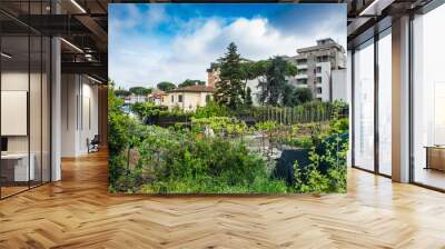 Palazzi popolari residenziali, vegetazione, cielo e nuvole Wall mural