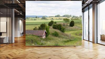 Landscape pasture farmland with grass and summer flowers with no people and wooden red barn Wall mural