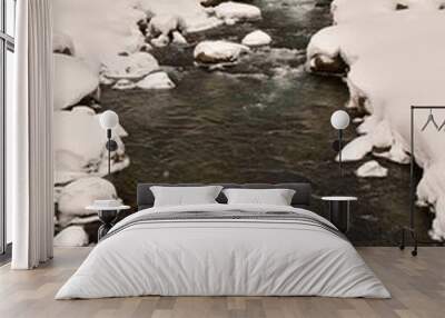 Cold river with snow water hokkaido Japan Wall mural