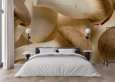 Heap of fresh raw mini king oyster mushrooms as background Wall mural