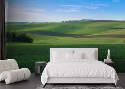 Grren farmland Wall mural