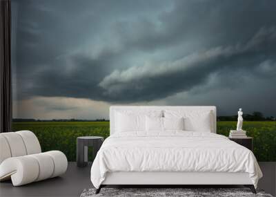 Developing thunderstorm over canola field in Sweden
 Wall mural