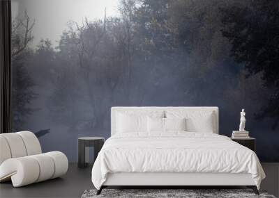 morning mist on the lake Wall mural