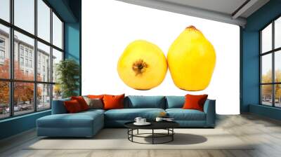 Two fruit quince Wall mural