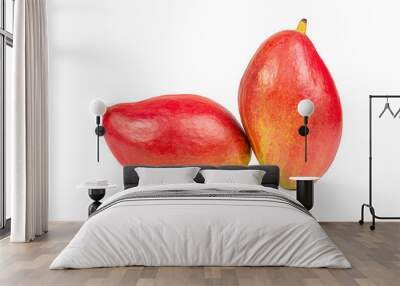 Two mango fruits Wall mural