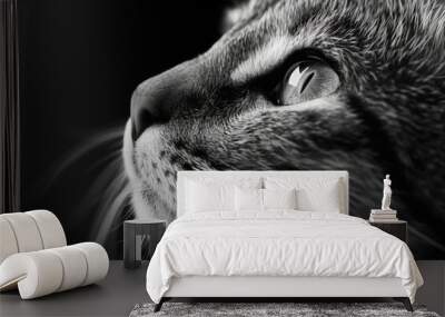 A cat is sleeping on a bed with a fluffy blanket Wall mural