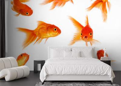 Goldfish Wall mural