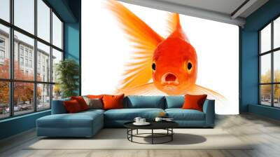 Goldfish Wall mural