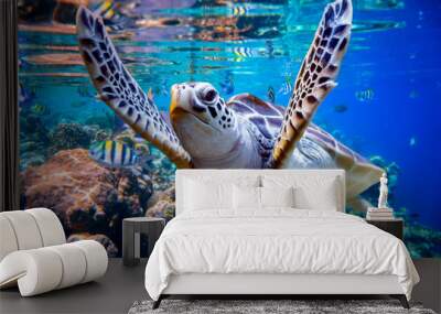 Sea turtle swims under water on the background of coral reefs Wall mural