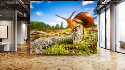 Snail slowly creeping along super macro close-up Wall mural