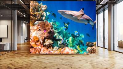 Tropical Coral Reef. Wall mural