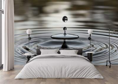 Close-up of a Water Droplet Splashing into a Still Water Surface, Creating Concentric Ripples Wall mural