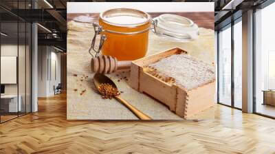 Honey Combs On a Wooden Background Close Up View Soft Focus Wall mural