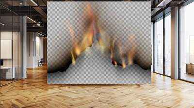 transparent design burning templates torn paper with fire Wall mural