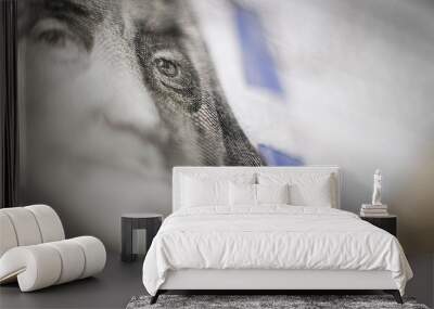 100 dollars USA close-up real money macro shot. Wall mural