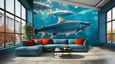 Salmon swimming on the surface of fish farm. fish. Illustrations
 Wall mural