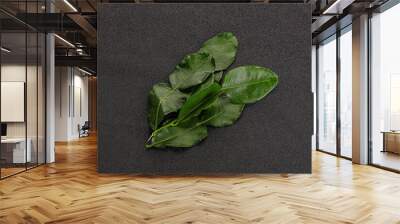 Aroma seasoning kaffir lime leaves Wall mural