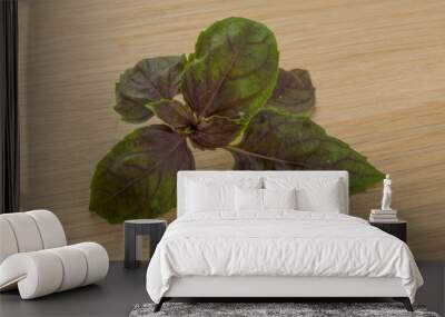 Basil leaves Wall mural