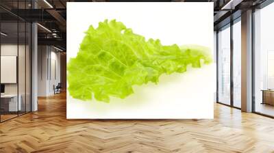 Dietary cuisine Green salad leaves Wall mural