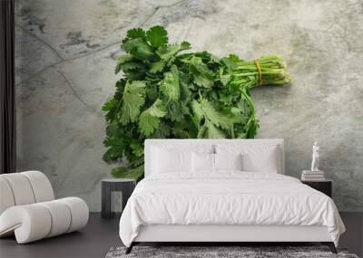 Fresh green cilantro branches heap Wall mural