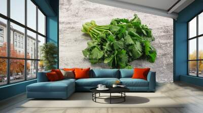 Fresh green cilantro branches heap Wall mural