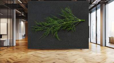 Fresh green dill herb branch Wall mural