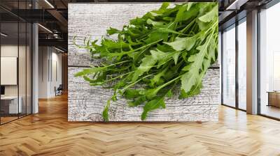 Fresh tasty natural organic rucola Wall mural