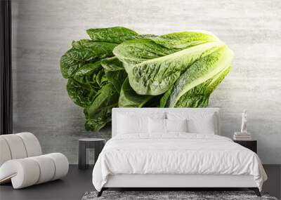 Green fresh juicy Romano salad Wall mural