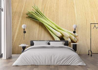 Lemongrass - Asian aroma plant for cooking Wall mural