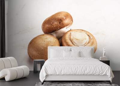 Raw brown champignon for cooking Wall mural