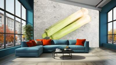 Raw natural ripe organic leek onion Wall mural