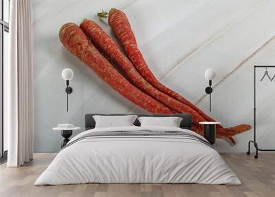 Raw ripe Indian red carrot Wall mural