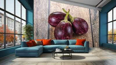 Raw smal asian baby eggplant Wall mural