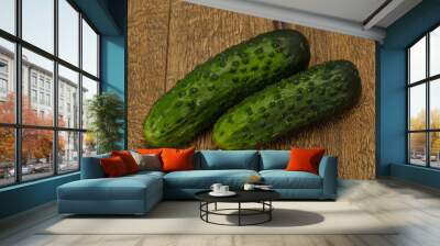 Ripe fresh green two cucumbers Wall mural