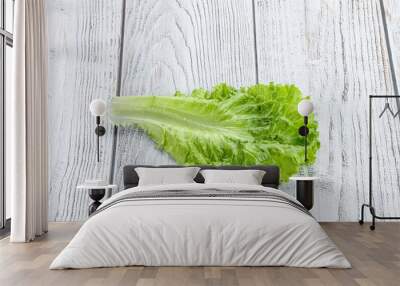 Ripe green salad lettuce leaf Wall mural