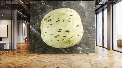 Ripe sweet juicy Dalmatin melon Wall mural