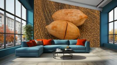 Ripe tasty Two pecan nuts Wall mural