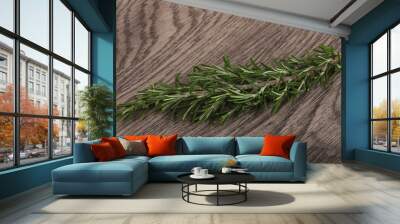 Rosemary branch Wall mural